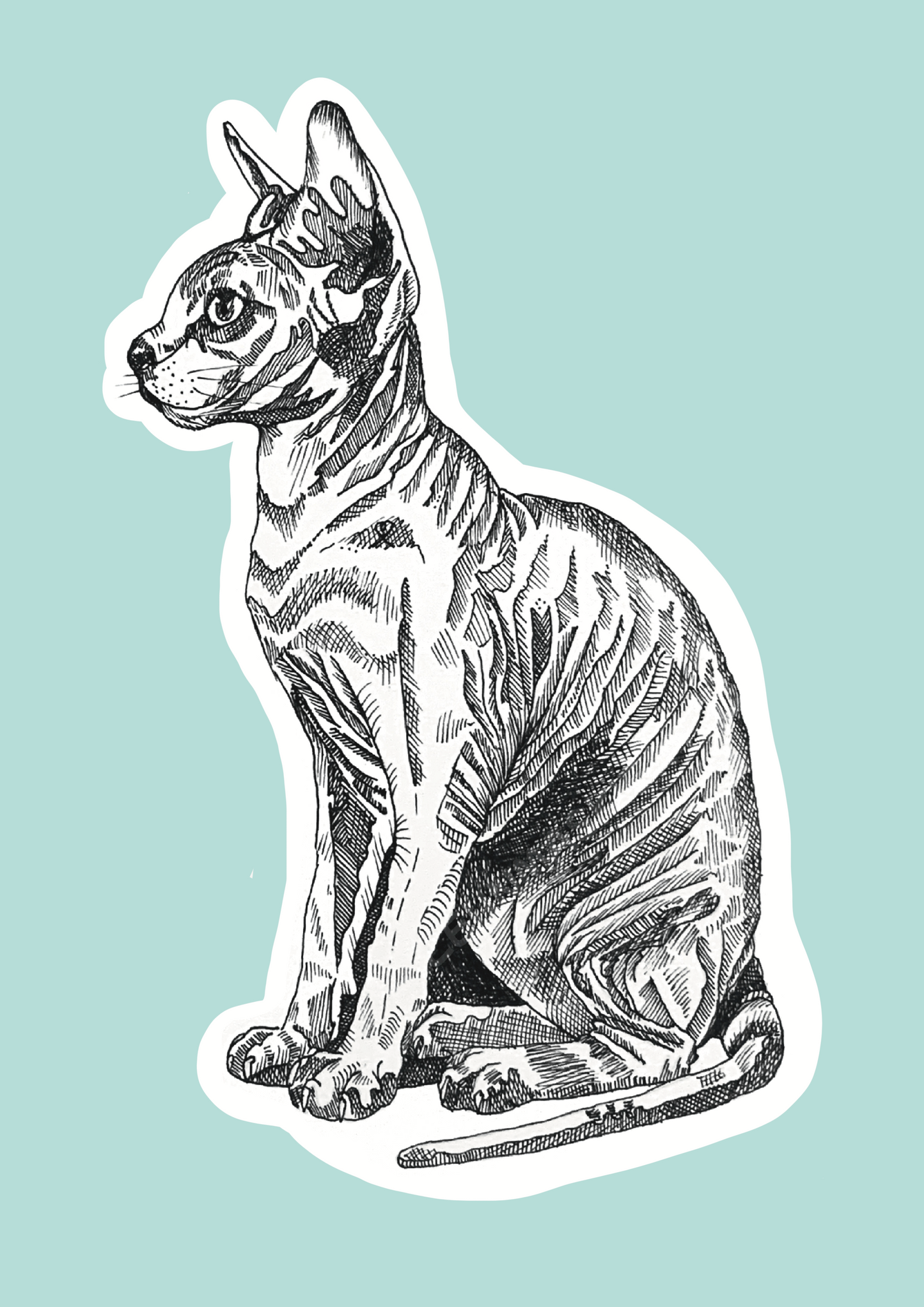Nacktkatze Artprint A5