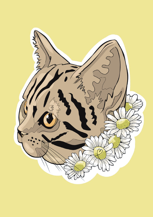 Daisy Artprint A5
