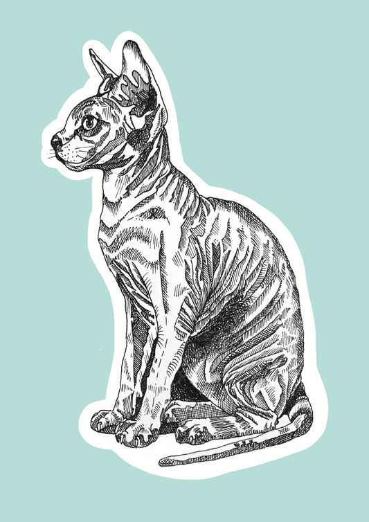 Nacktkatze Artprint A5
